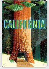 California Redwoods - c. 1950's - Metal Sign Art